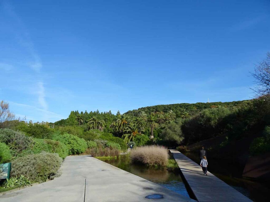 Walkways around a triangular-shaped pond at the Barcelona Botanic Gardens