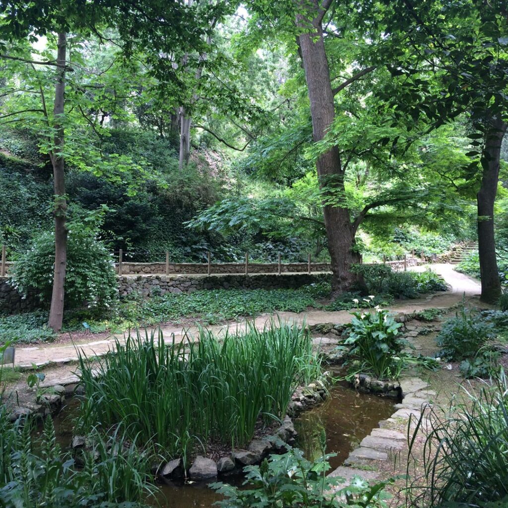Trees and a water feature at the historic botanic gardens in Barcelona